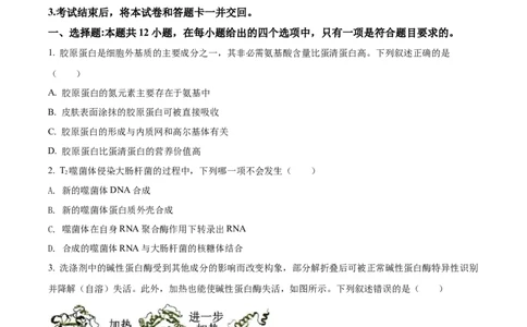 2022年高考生物试卷（湖南）（空白卷）_生物历年高考真题_新&middot;Word版2008-2025&middot;高考生物真题_生物（按试卷类型分类）2008-2025_自主命题卷&middot;生物（2008-2025）_湖南自主命题&middot;生物（2021-2025）