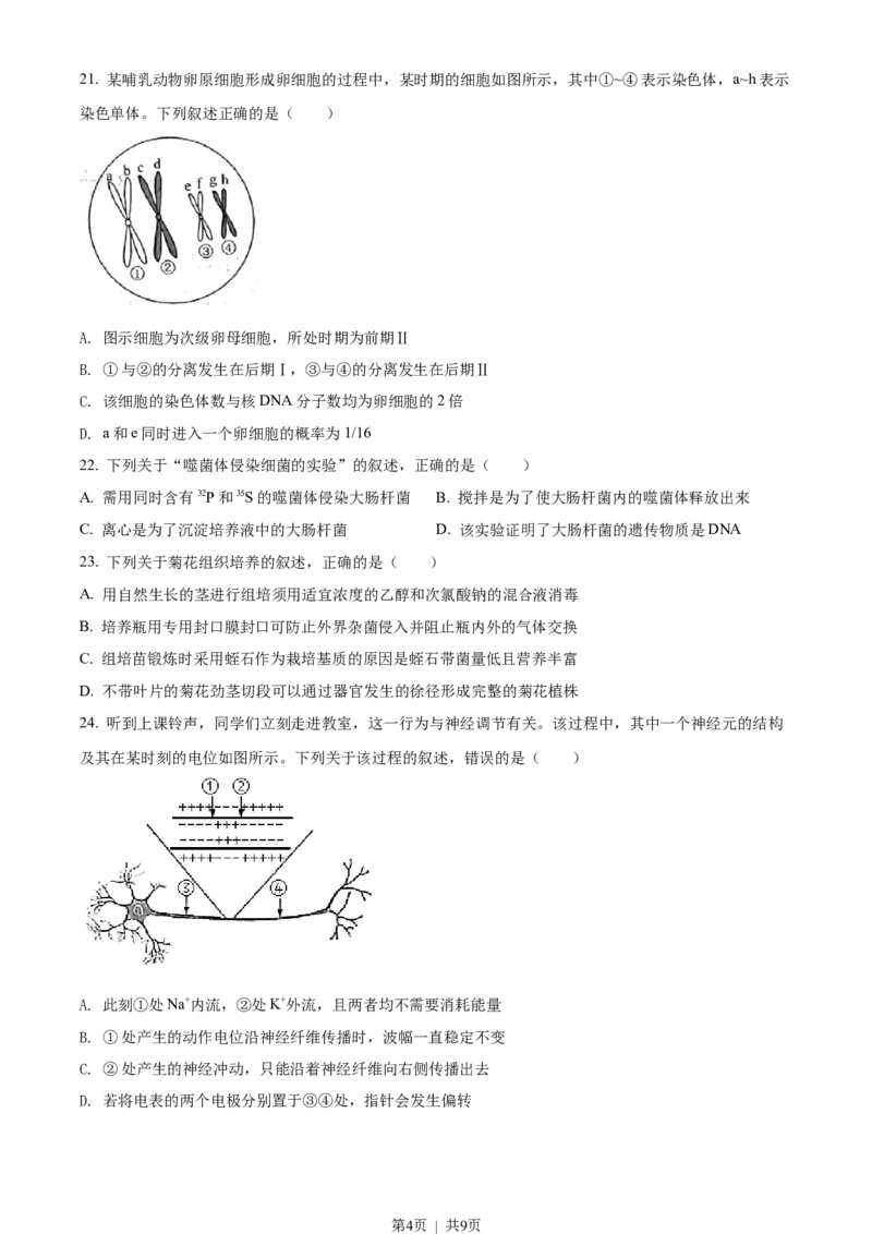 2022年高考生物试卷（浙江）（6月）（空白卷）_生物历年高考真题_新&middot;Word版2008-2025&middot;高考生物真题_生物（按省份分类）2008-2025_2008-2025&middot;（浙江）生物高考真题