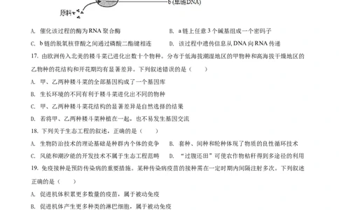 2022年高考生物试卷（浙江）（6月）（空白卷）_生物历年高考真题_新&middot;Word版2008-2025&middot;高考生物真题_生物（按省份分类）2008-2025_2008-2025&middot;（浙江）生物高考真题