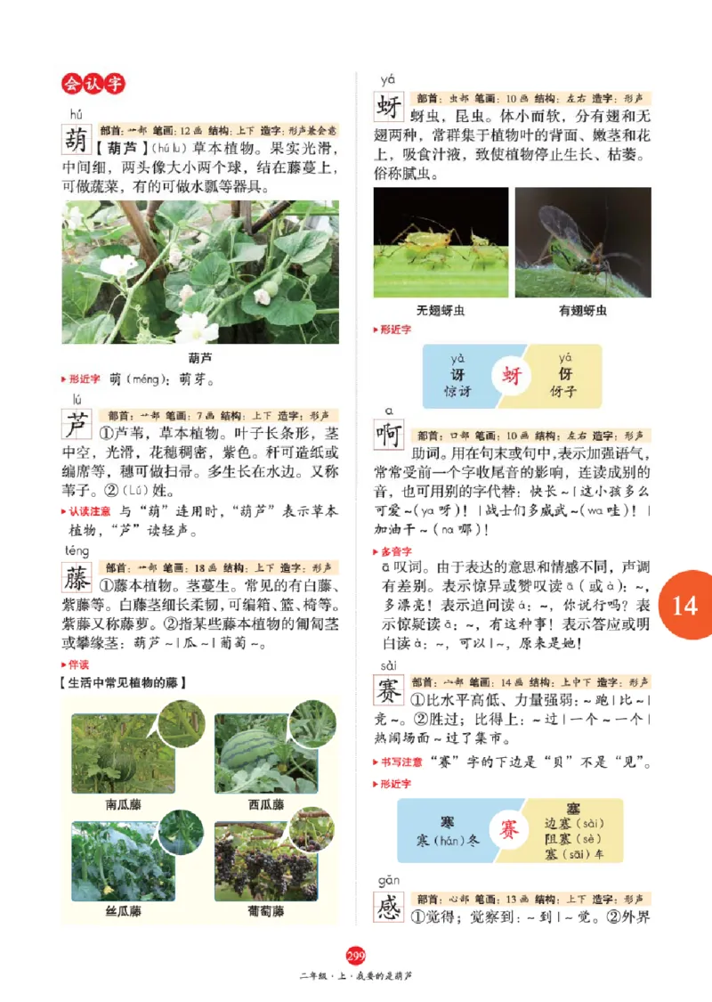 A2-2年级-六三版_二年级上下册资料_小学二年级学习资料-25年更新版_2-01、小学二年级语文上册_2-1-2、练习题、作业、试题、试卷_电子册类_《绘本课堂》语文2年级上册（RJ）