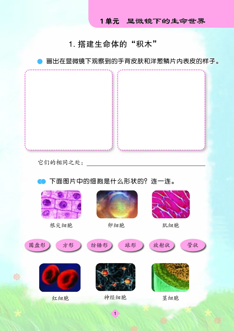 苏教版5年级科学下册活动手册_全部版本&bull;小学科学电子课本_苏教版小学科学电子课本