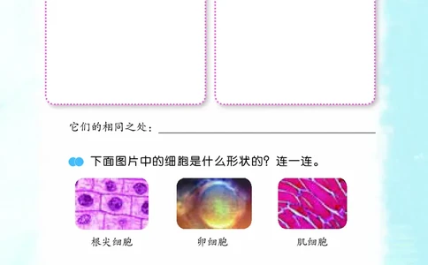 苏教版5年级科学下册活动手册_全部版本&bull;小学科学电子课本_苏教版小学科学电子课本