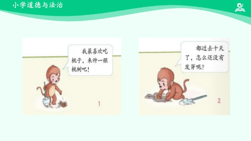 5试种一粒籽_课件_二年级上下册资料_小学二年级学习资料-25年更新版_2-08、小学二年级道德与法治下册_课时练与课件