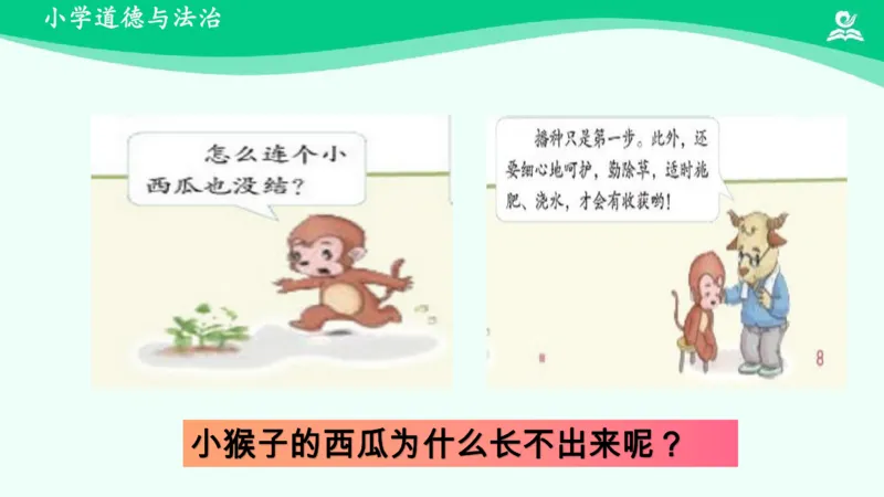 5试种一粒籽_课件_二年级上下册资料_小学二年级学习资料-25年更新版_2-08、小学二年级道德与法治下册_课时练与课件