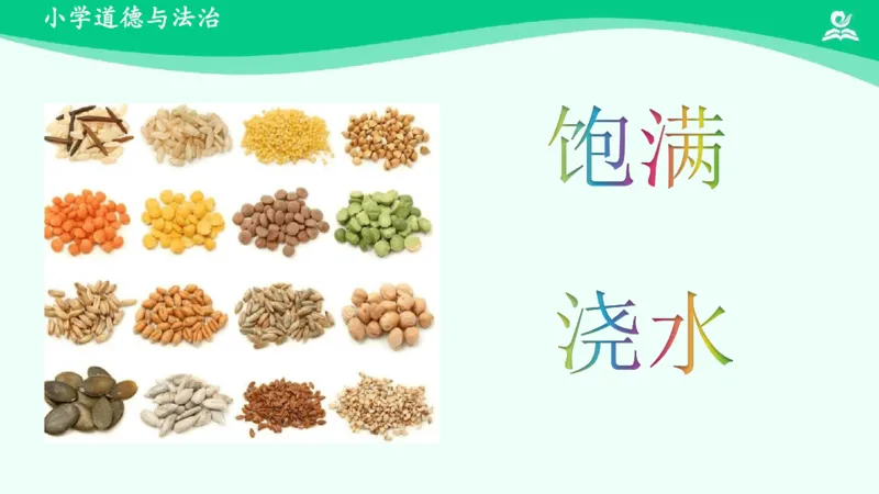 5试种一粒籽_课件_二年级上下册资料_小学二年级学习资料-25年更新版_2-08、小学二年级道德与法治下册_课时练与课件