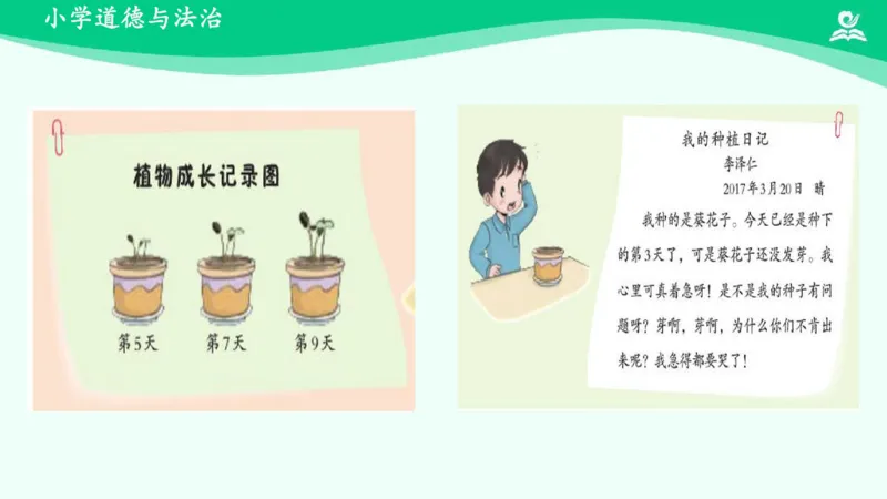 5试种一粒籽_课件_二年级上下册资料_小学二年级学习资料-25年更新版_2-08、小学二年级道德与法治下册_课时练与课件