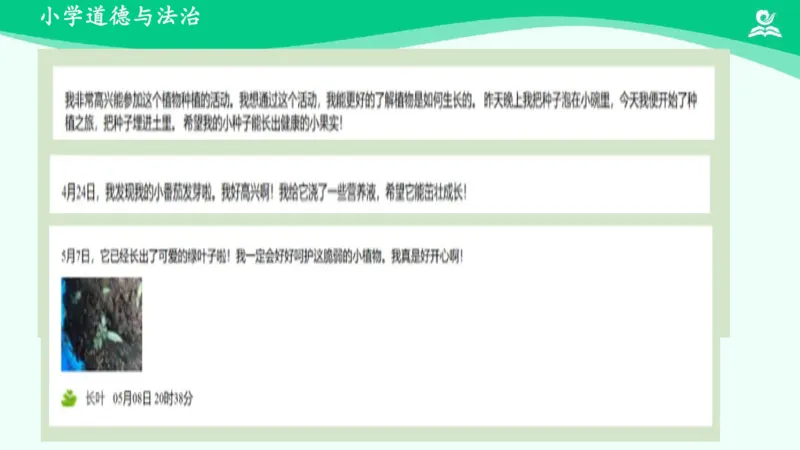 5试种一粒籽_课件_二年级上下册资料_小学二年级学习资料-25年更新版_2-08、小学二年级道德与法治下册_课时练与课件