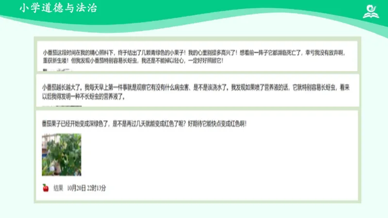 5试种一粒籽_课件_二年级上下册资料_小学二年级学习资料-25年更新版_2-08、小学二年级道德与法治下册_课时练与课件