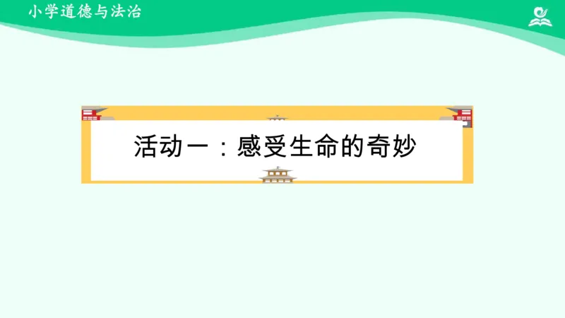 5试种一粒籽_课件_二年级上下册资料_小学二年级学习资料-25年更新版_2-08、小学二年级道德与法治下册_课时练与课件