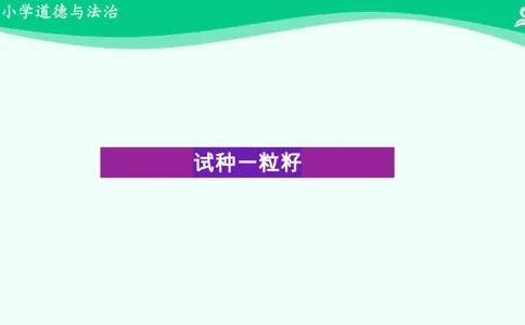 5试种一粒籽_课件_二年级上下册资料_小学二年级学习资料-25年更新版_2-08、小学二年级道德与法治下册_课时练与课件