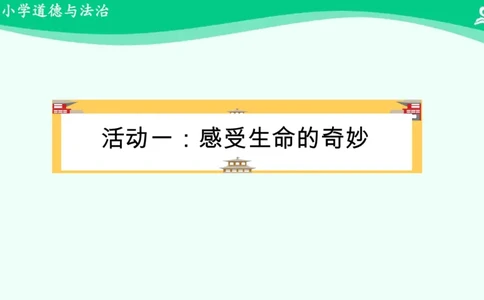 5试种一粒籽_课件_二年级上下册资料_小学二年级学习资料-25年更新版_2-08、小学二年级道德与法治下册_课时练与课件