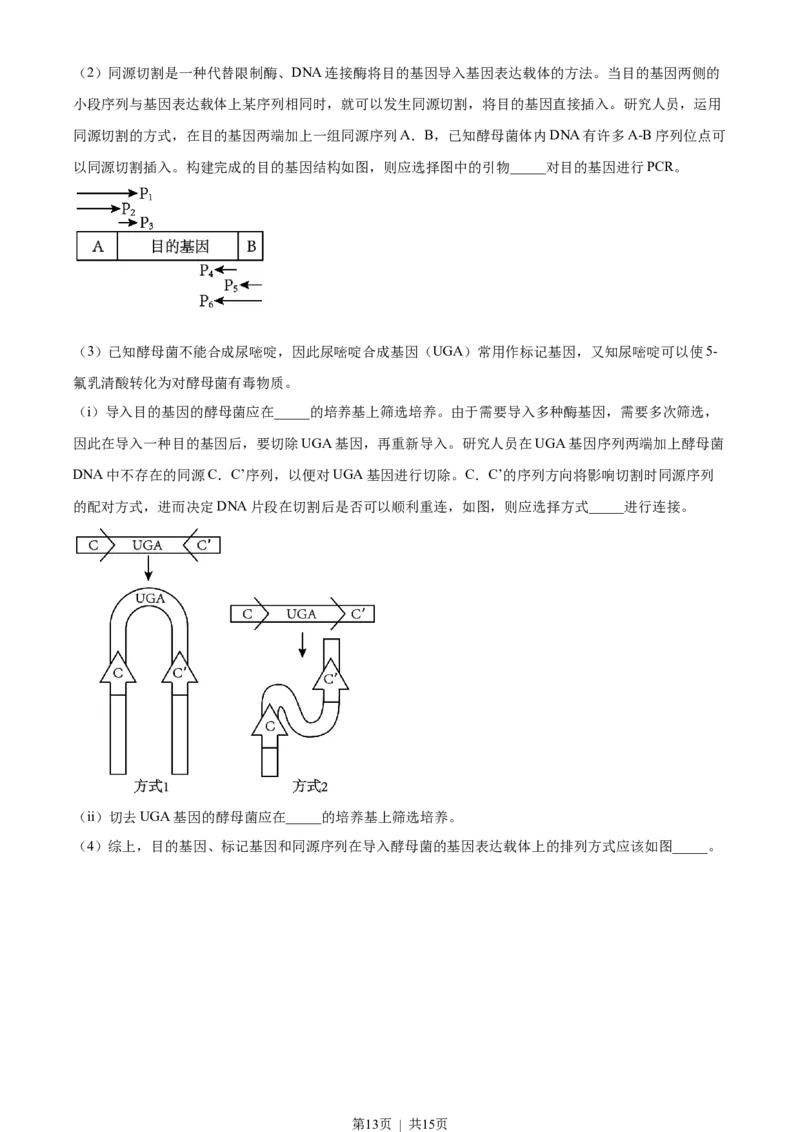 2023年高考生物试卷（天津）（解析卷）_生物历年高考真题_新&middot;Word版2008-2025&middot;高考生物真题_生物（按试卷类型分类）2008-2025_自主命题卷&middot;生物（2008-2025）_天津自主命题&middot;生物（2008-2024）