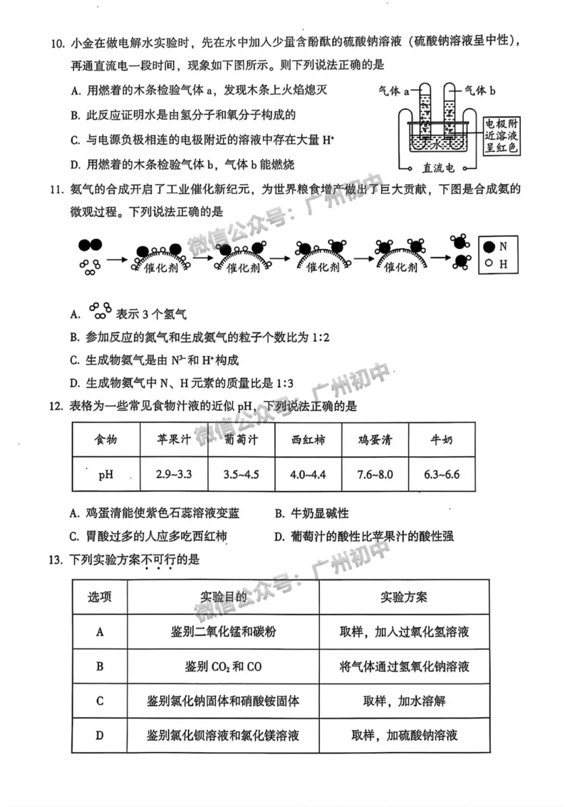 2025从化区中考一模化学试题_广州九上月考+期中+期末+一模二模+中考真题_广州2025年中考一模_2025年11区中考一模_从化区