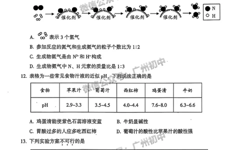 2025从化区中考一模化学试题_广州九上月考+期中+期末+一模二模+中考真题_广州2025年中考一模_2025年11区中考一模_从化区