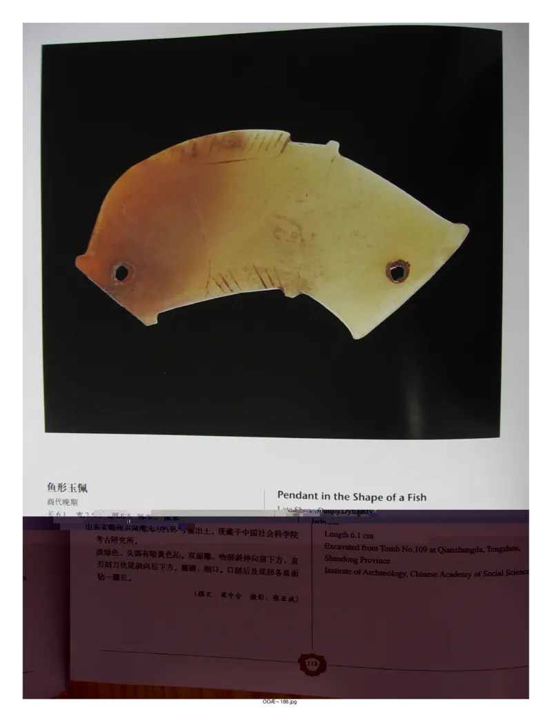 中国出土玉器全集(4)山东_部分2_X018-玉石珠宝鉴定教程最新合集_5、玉石鉴定专题全套课程_玉石电子书_中国出土玉石全集