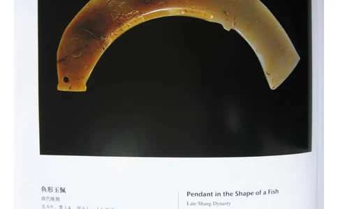 中国出土玉器全集(4)山东_部分2_X018-玉石珠宝鉴定教程最新合集_5、玉石鉴定专题全套课程_玉石电子书_中国出土玉石全集