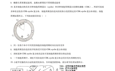 2022年高考生物试卷（浙江）1月（空白卷）_生物历年高考真题_新&middot;Word版2008-2025&middot;高考生物真题_生物（按年份分类）2008-2025_2022&middot;高考生物真题