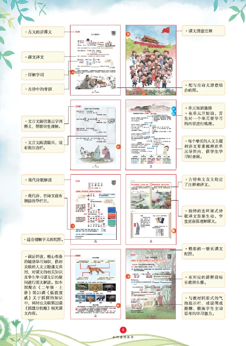 A1-2年级-六三版_二年级上下册资料_小学二年级学习资料-25年更新版_2-01、小学二年级语文上册_2-1-2、练习题、作业、试题、试卷_电子册类_《绘本课堂》语文2年级上册（RJ）