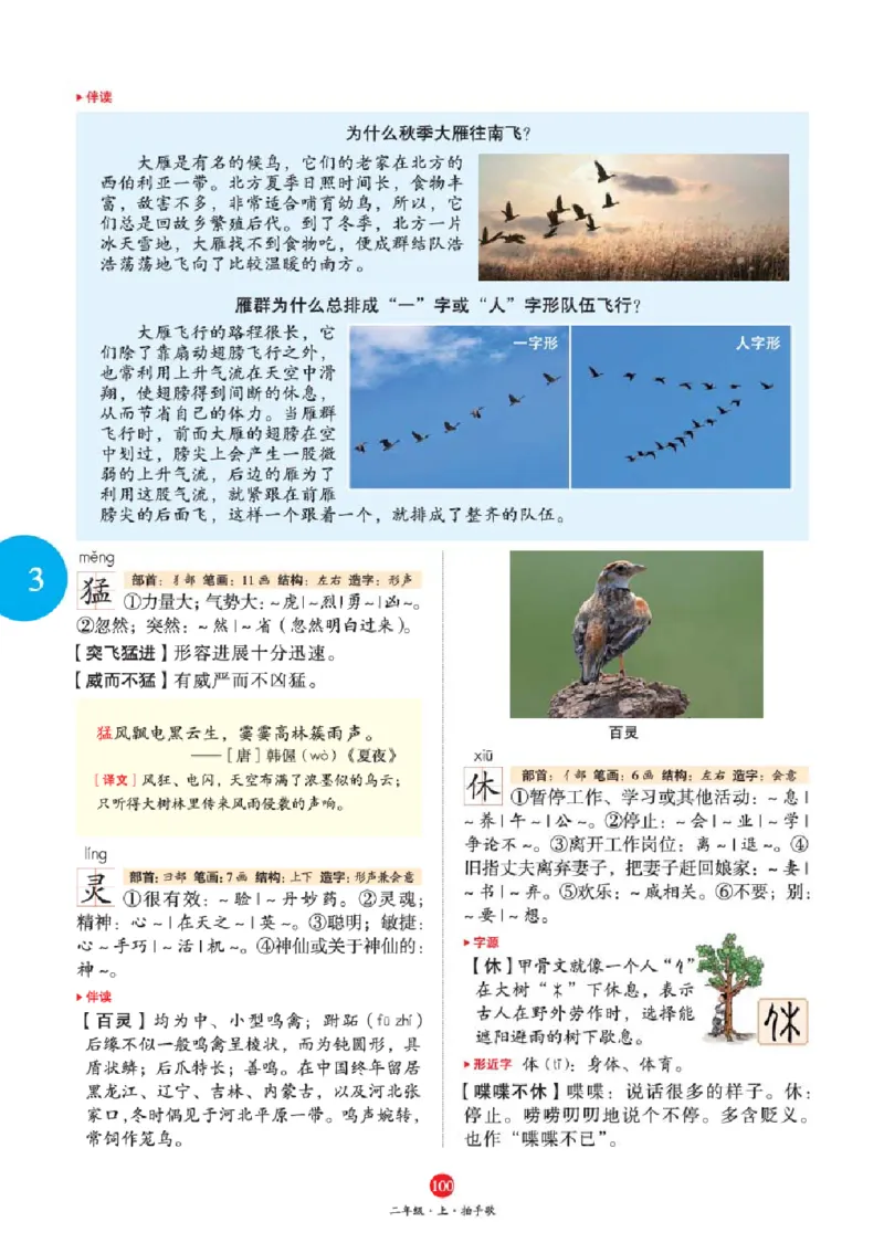 A1-2年级-六三版_二年级上下册资料_小学二年级学习资料-25年更新版_2-01、小学二年级语文上册_2-1-2、练习题、作业、试题、试卷_电子册类_《绘本课堂》语文2年级上册（RJ）