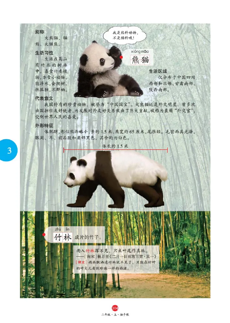 A1-2年级-六三版_二年级上下册资料_小学二年级学习资料-25年更新版_2-01、小学二年级语文上册_2-1-2、练习题、作业、试题、试卷_电子册类_《绘本课堂》语文2年级上册（RJ）