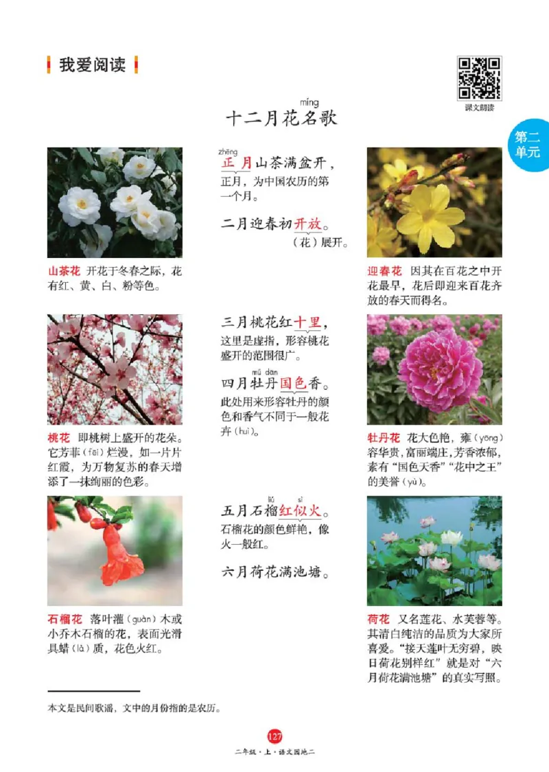 A1-2年级-六三版_二年级上下册资料_小学二年级学习资料-25年更新版_2-01、小学二年级语文上册_2-1-2、练习题、作业、试题、试卷_电子册类_《绘本课堂》语文2年级上册（RJ）