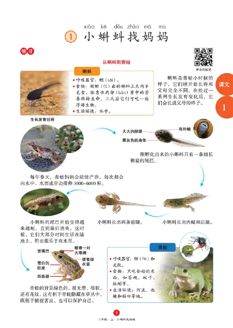 A1-2年级-六三版_二年级上下册资料_小学二年级学习资料-25年更新版_2-01、小学二年级语文上册_2-1-2、练习题、作业、试题、试卷_电子册类_《绘本课堂》语文2年级上册（RJ）