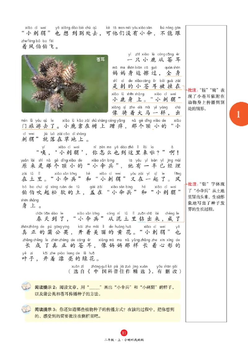 A1-2年级-六三版_二年级上下册资料_小学二年级学习资料-25年更新版_2-01、小学二年级语文上册_2-1-2、练习题、作业、试题、试卷_电子册类_《绘本课堂》语文2年级上册（RJ）