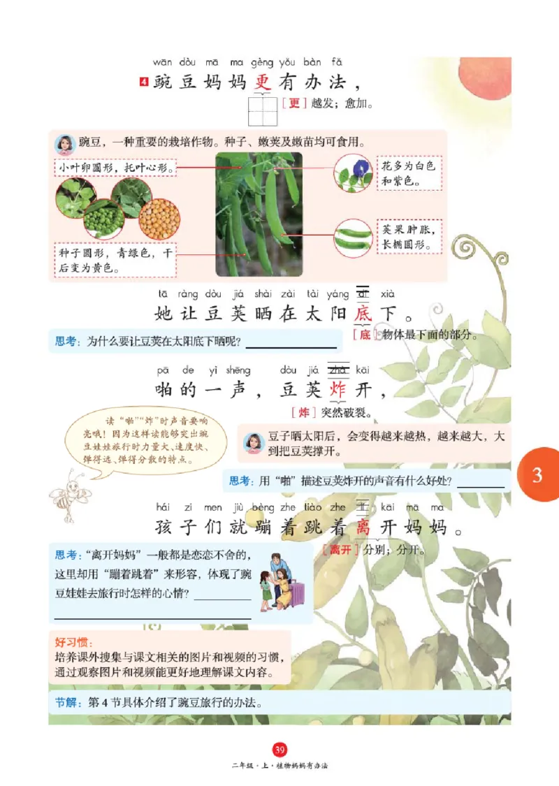 A1-2年级-六三版_二年级上下册资料_小学二年级学习资料-25年更新版_2-01、小学二年级语文上册_2-1-2、练习题、作业、试题、试卷_电子册类_《绘本课堂》语文2年级上册（RJ）