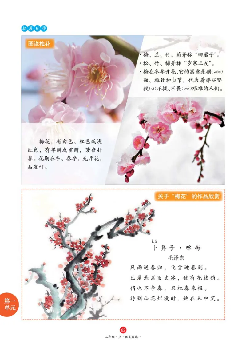 A1-2年级-六三版_二年级上下册资料_小学二年级学习资料-25年更新版_2-01、小学二年级语文上册_2-1-2、练习题、作业、试题、试卷_电子册类_《绘本课堂》语文2年级上册（RJ）