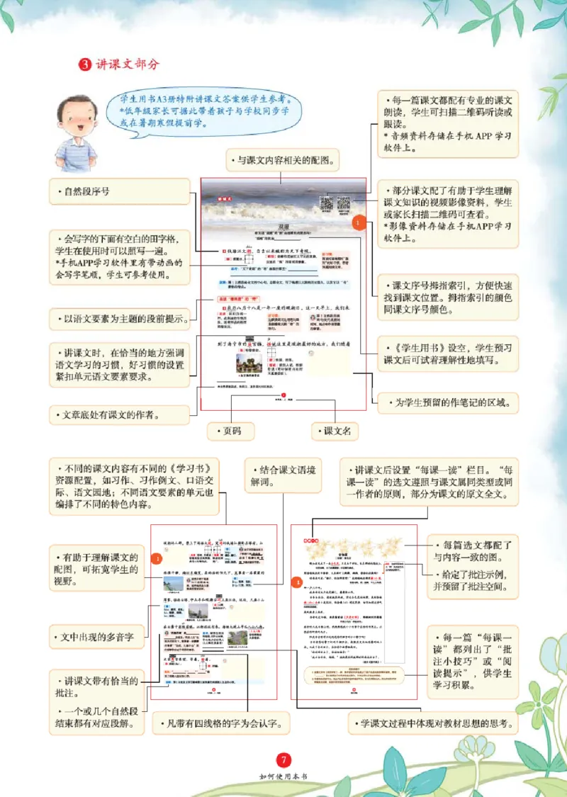 A1-2年级-六三版_二年级上下册资料_小学二年级学习资料-25年更新版_2-01、小学二年级语文上册_2-1-2、练习题、作业、试题、试卷_电子册类_《绘本课堂》语文2年级上册（RJ）