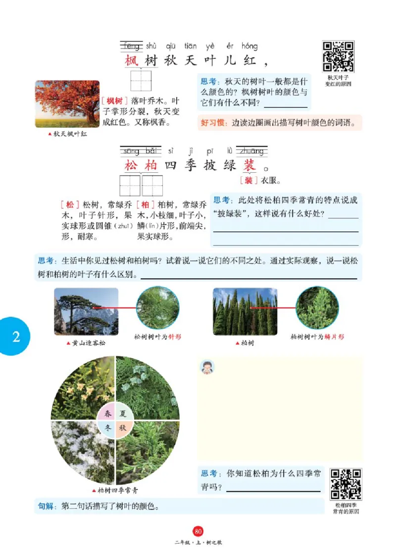 A1-2年级-六三版_二年级上下册资料_小学二年级学习资料-25年更新版_2-01、小学二年级语文上册_2-1-2、练习题、作业、试题、试卷_电子册类_《绘本课堂》语文2年级上册（RJ）