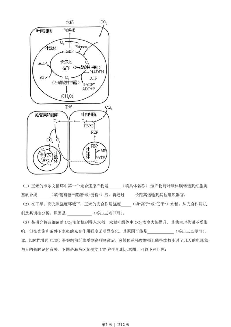2023年高考生物试卷（湖南）（空白卷）_生物历年高考真题_新&middot;PDF版2008-2025&middot;高考生物真题_生物（按省份分类）2008-2025_2008-2025&middot;（湖南）生物高考真题