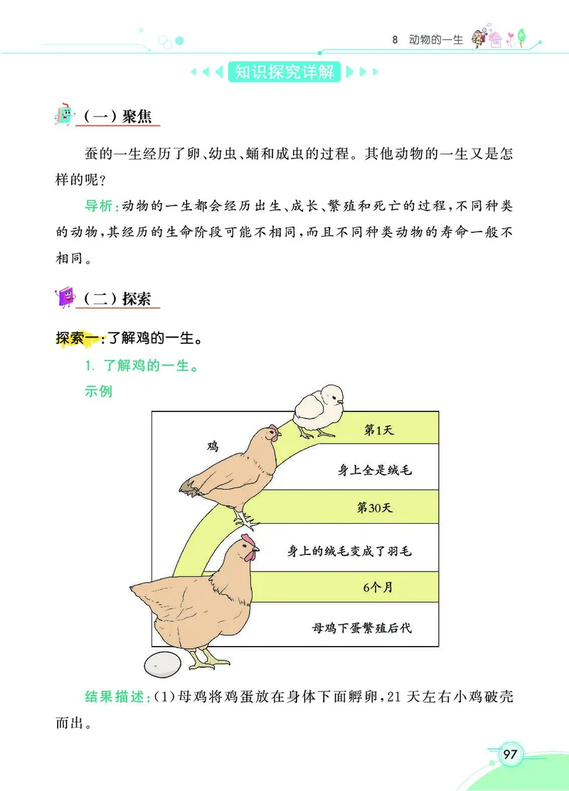 《七彩课堂》3年级下册（教科版）_三年级上下册资料_小学三年级学习资料-25年更新版_3-10、小学三年级科学下册_教科版_电子册类