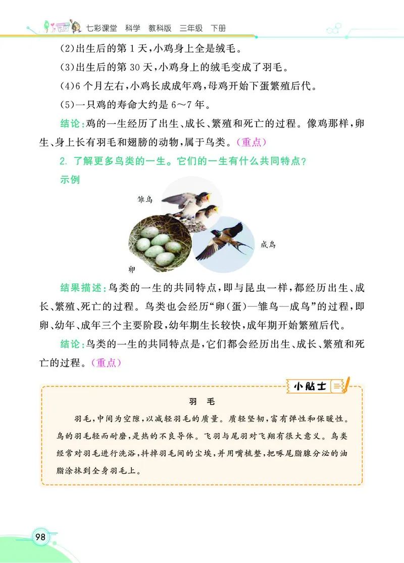 《七彩课堂》3年级下册（教科版）_三年级上下册资料_小学三年级学习资料-25年更新版_3-10、小学三年级科学下册_教科版_电子册类