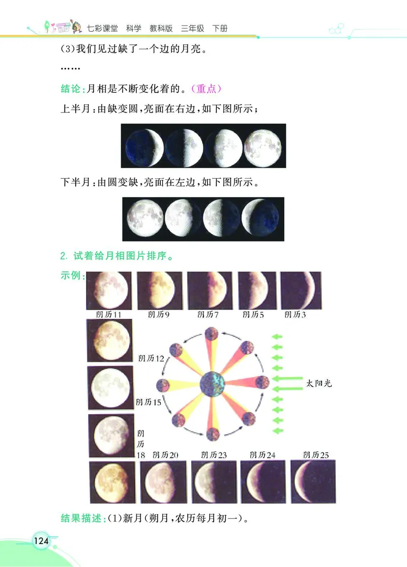《七彩课堂》3年级下册（教科版）_三年级上下册资料_小学三年级学习资料-25年更新版_3-10、小学三年级科学下册_教科版_电子册类