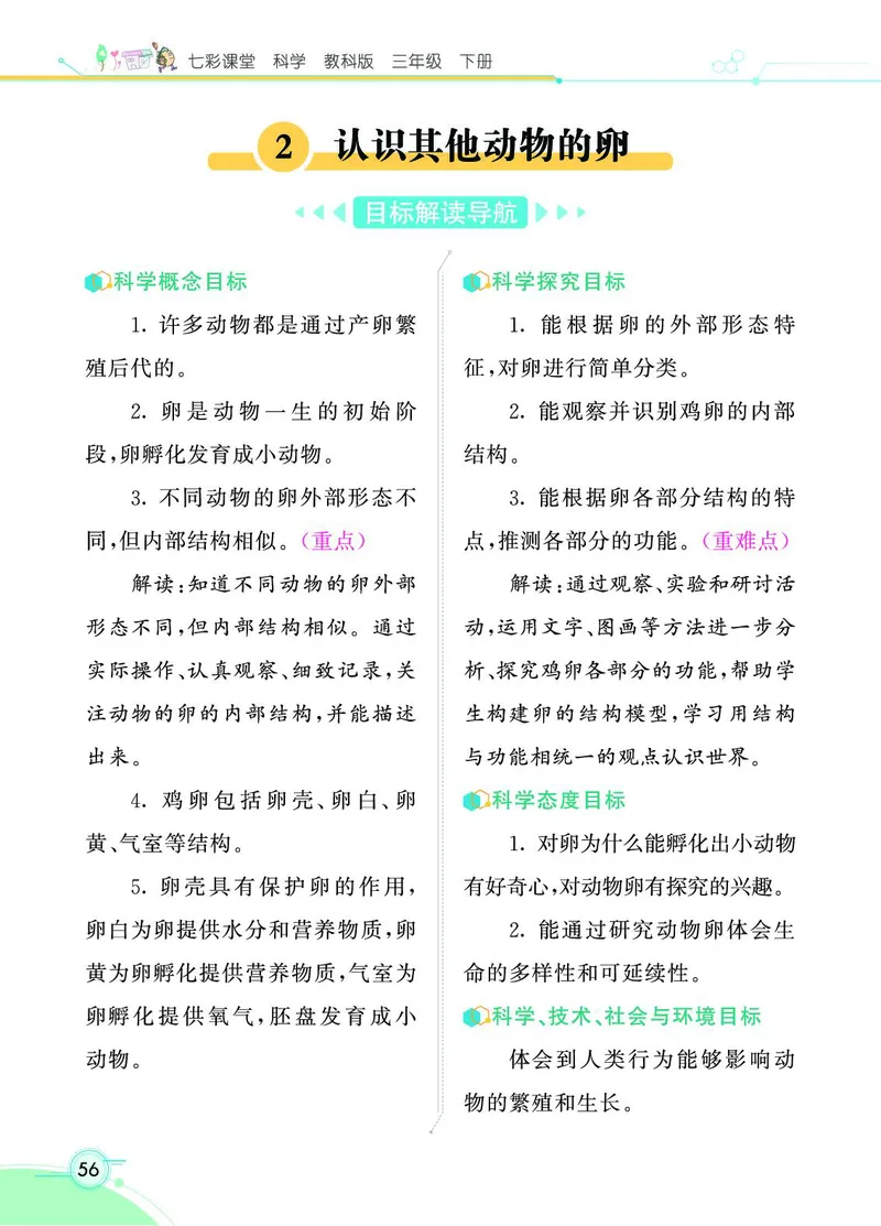 《七彩课堂》3年级下册（教科版）_三年级上下册资料_小学三年级学习资料-25年更新版_3-10、小学三年级科学下册_教科版_电子册类