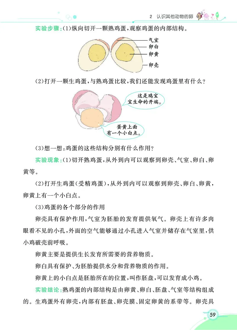 《七彩课堂》3年级下册（教科版）_三年级上下册资料_小学三年级学习资料-25年更新版_3-10、小学三年级科学下册_教科版_电子册类