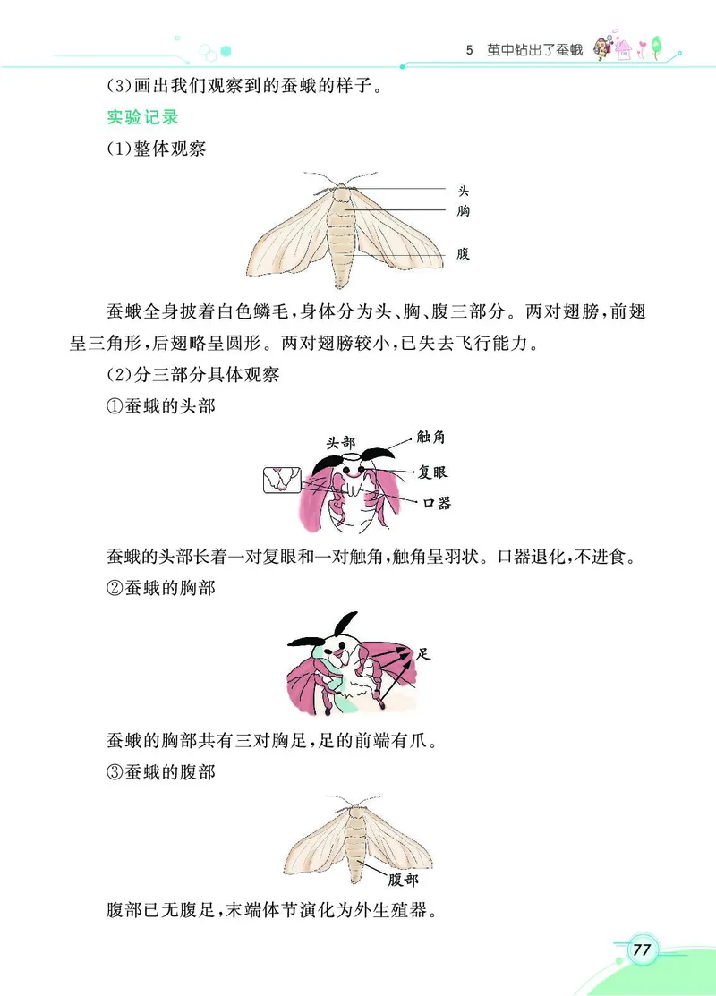《七彩课堂》3年级下册（教科版）_三年级上下册资料_小学三年级学习资料-25年更新版_3-10、小学三年级科学下册_教科版_电子册类