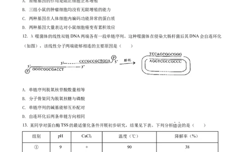 2022年高考生物试卷（广东）（空白卷）_生物历年高考真题_新&middot;Word版2008-2025&middot;高考生物真题_生物（按年份分类）2008-2025_2022&middot;高考生物真题