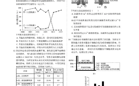 2023年高考生物试卷（福建）（空白卷）_生物历年高考真题_新&middot;PDF版2008-2025&middot;高考生物真题_生物（按省份分类）2008-2025_2012-2024&middot;（福建）生物高考真题