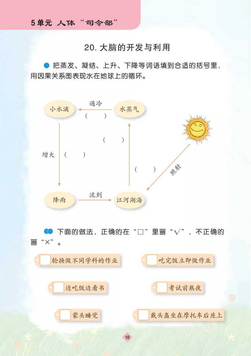 苏教版5年级科学上册活动手册_全部版本&bull;小学科学电子课本_苏教版小学科学电子课本