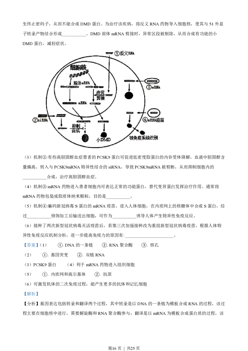 2022年高考生物试卷（江苏）（解析卷）_生物历年高考真题_新&middot;PDF版2008-2025&middot;高考生物真题_生物（按省份分类）2008-2025_2008-2025&middot;（江苏）生物高考真题