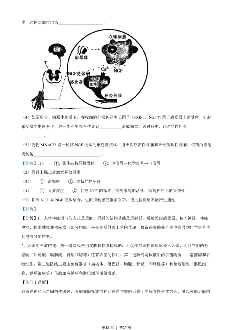 2022年高考生物试卷（江苏）（解析卷）_生物历年高考真题_新&middot;PDF版2008-2025&middot;高考生物真题_生物（按省份分类）2008-2025_2008-2025&middot;（江苏）生物高考真题