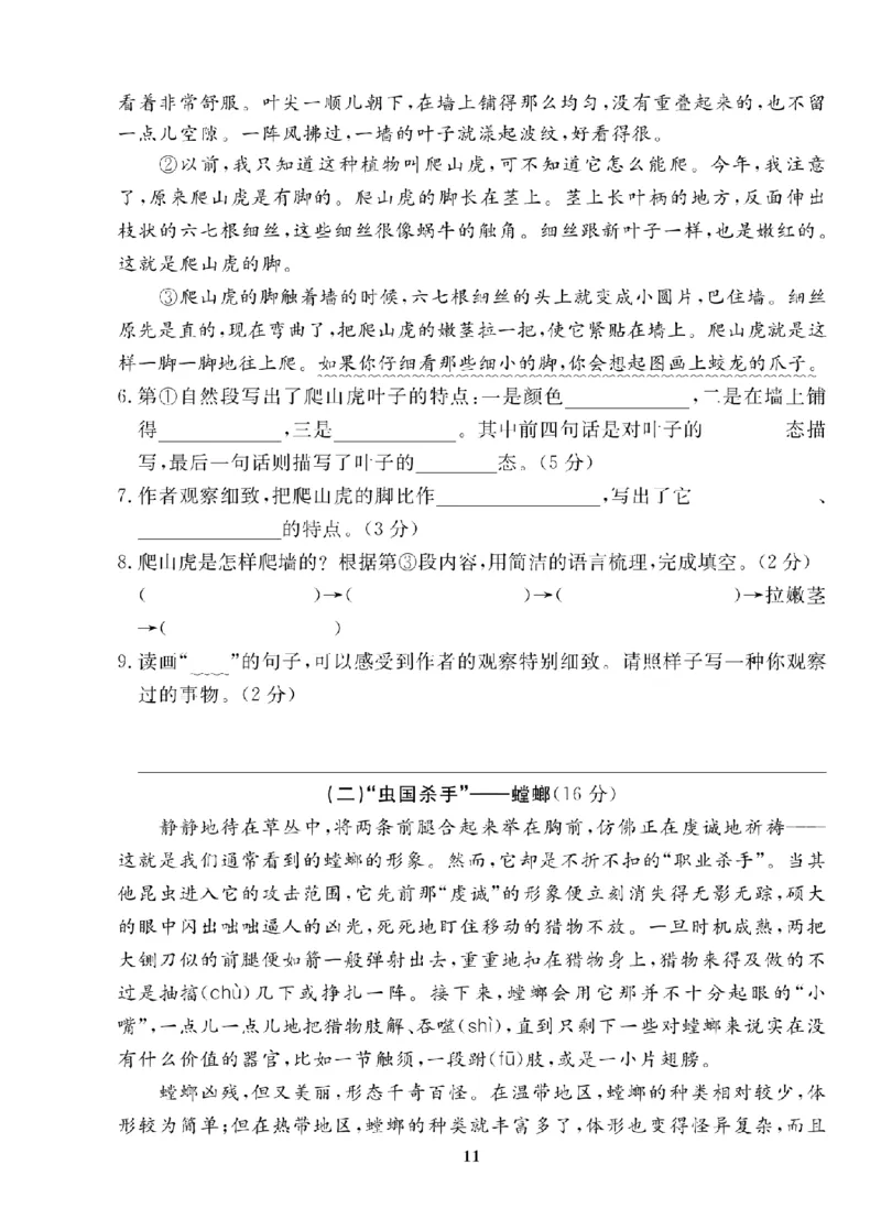 4年级-语文-人教_25秋语数英期中测试卷专题_语数英1-6年级期中试卷电子版A+题优名卷_25秋期中测试卷语文1-6
