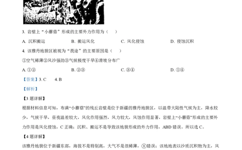 2023年高考地理试卷（浙江）（1月）（解析卷）_地理历年高考真题_新&middot;PDF版2008-2025&middot;高考地理真题_地理（按年份分类）2008-2025_2023&middot;地理高考真题