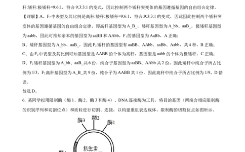 2023年高考生物试卷（新课标）（解析卷）_生物历年高考真题_新&middot;Word版2008-2025&middot;高考生物真题_生物（按省份分类）2008-2025_2008-2025&middot;（山西）生物高考真题