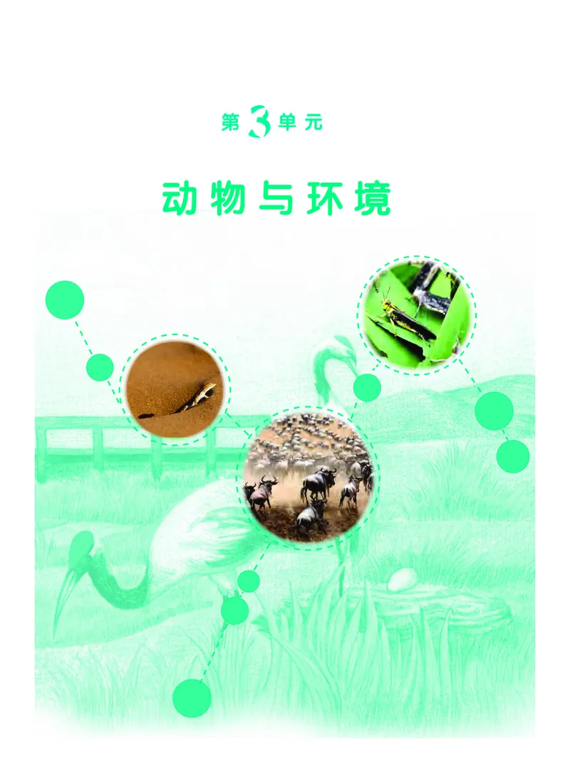 粤教版6年级科学下册高清教材_全部版本&bull;小学科学电子课本_粤教版小学科学电子课本