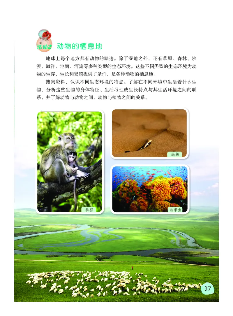 粤教版6年级科学下册高清教材_全部版本&bull;小学科学电子课本_粤教版小学科学电子课本