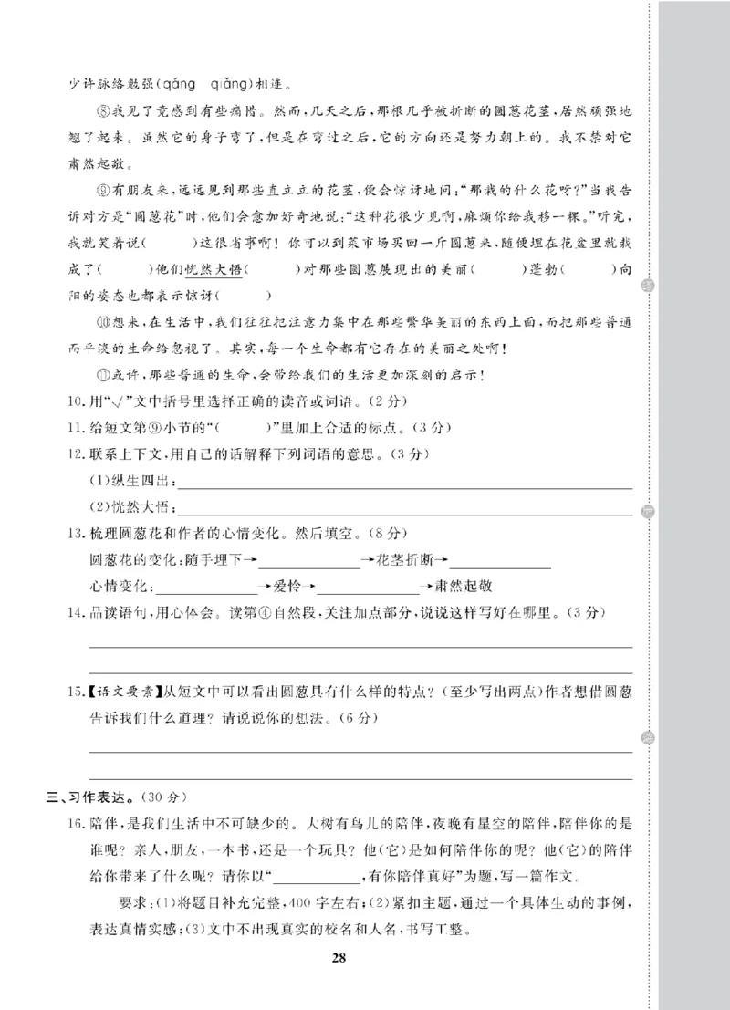 5年级-语文-人教_25秋语数英期中测试卷专题_语数英1-6年级期中试卷电子版A+题优名卷_25秋期中测试卷语文1-6