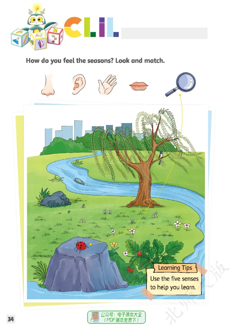 英语三下北师大（2025春）_小学全网线上同款资料_2025春新增教材合集_小学英语（2025春新教材）
